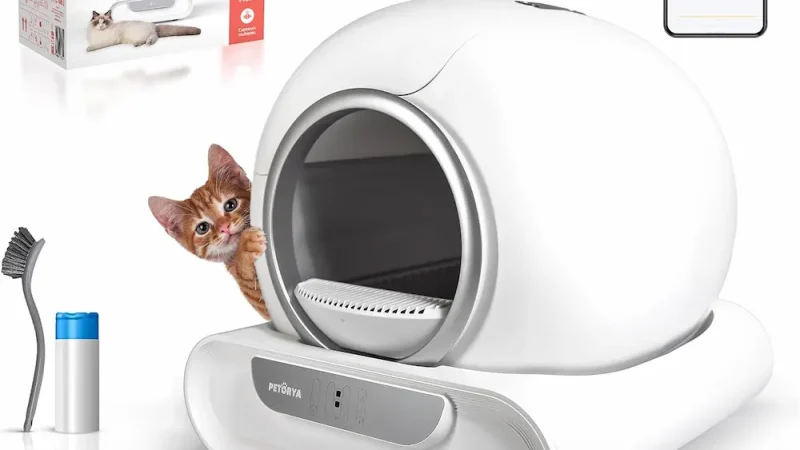 PETORYA : litière autonettoyante intelligente pour chat