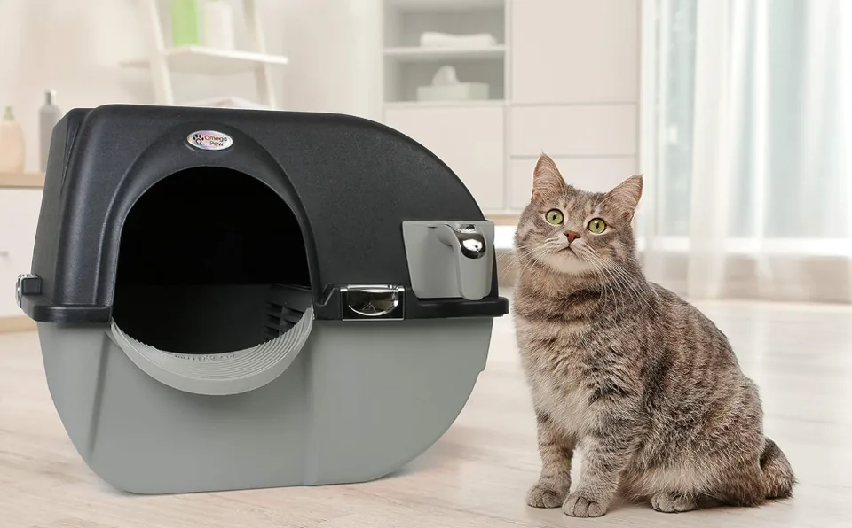 Litière autonettoyante Omega Paw à côté d'un chat tigré dans un salon