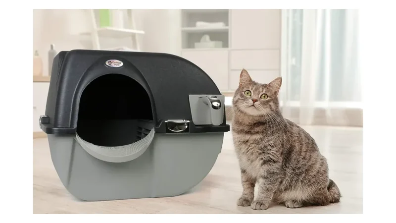 Litière autonettoyante Omega Paw à côté d un chat tigré dans un salon